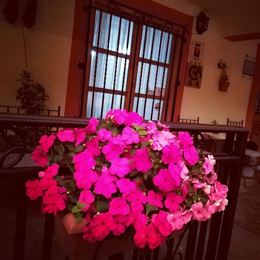 Гостевой дом Casa De Aldea La Pescal Экстерьер фото